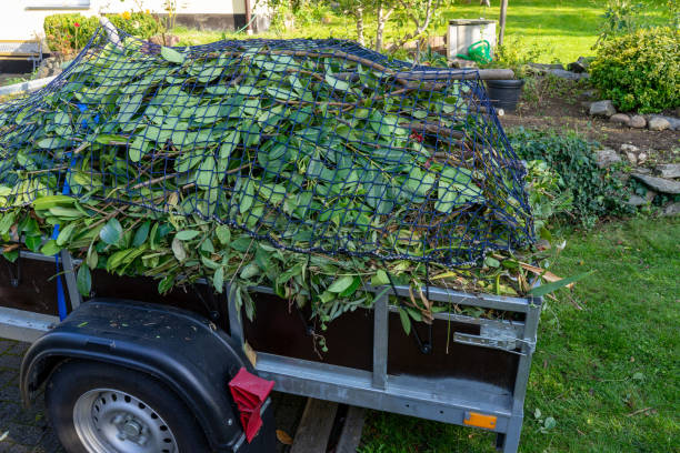 Best Shed Removal  in Eagleton Village, TN